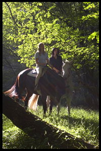 Glenworth Valley Horseriding - Tourism Caloundra 2