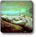 Kakadu National Park - Tourism Caloundra 1