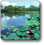 Kakadu National Park - Tourism Caloundra 3
