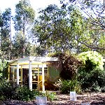 Koala Conservation Centre - Tourism Caloundra 1