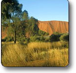 Uluru - Kata Tjuta National Park - Tourism Caloundra