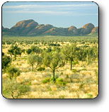 Uluru - Kata Tjuta National Park - Tourism Caloundra 2