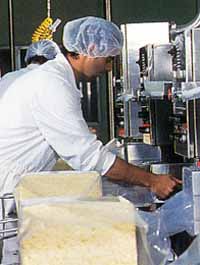 Allansford Cheese World - Tourism Caloundra 1