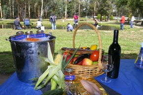 Buxton Trout And Salmon Farm - Tourism Caloundra 2
