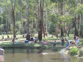 Buxton Trout And Salmon Farm - Tourism Caloundra 3