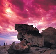 Kangaroo Island Adventure Tour 2 day/1 night - Tourism Caloundra