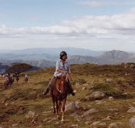 High Country Horses - Tourism Caloundra