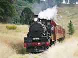 Storeyline Tours - Tourism Caloundra 2