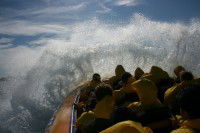 Jetboating Sydney - Tourism Caloundra 1