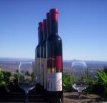 Mount Tamborine Winery  Homestead - Tourism Caloundra