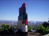 Mount Tamborine Winery & Homestead - Tourism Caloundra 0