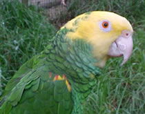Gorge Wildlife Park - Tourism Caloundra 3