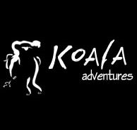 Koala Adventures - Tourism Caloundra