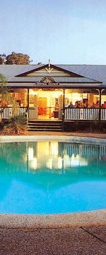 Koala Adventures - Tourism Caloundra 2