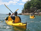 Sydney Harbour Kayaks - Tourism Caloundra 1