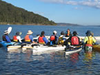 Sydney Harbour Kayaks - Tourism Caloundra 2