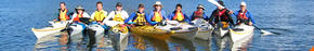 Sydney Harbour Kayaks - Tourism Caloundra 3