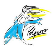 Polperro Dolphin Swims - Tourism Caloundra