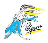 Polperro Dolphin Swims - Tourism Caloundra 0