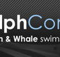 Dolphcom - Dolphin  Whale Swimming Adventures - Tourism Caloundra