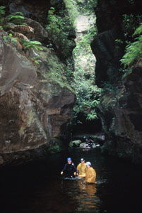 High And Wild Mountain Adventures - Tourism Caloundra 1