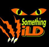 Something Wild - Tourism Caloundra