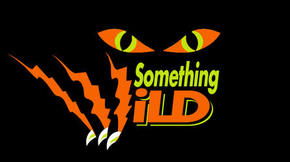 Something Wild - Tourism Caloundra 0