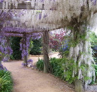 Abingdon Miniature Village - Tourism Caloundra