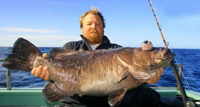 Bravo Fishing Charters - Tourism Caloundra 0