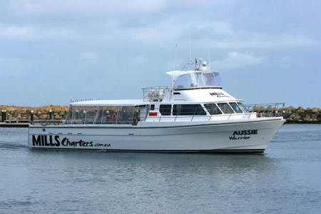 Mills Charters Fishing And Whale Watch Cruises - Tourism Caloundra 1