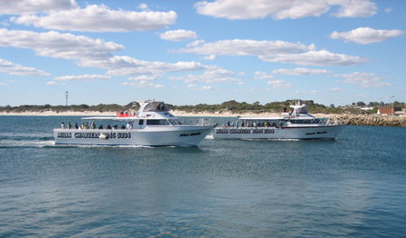 Mills Charters Fishing And Whale Watch Cruises - Tourism Caloundra 2
