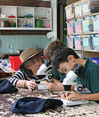 Australian National Botanic Gardens - Tourism Caloundra 2