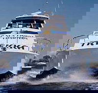 Sunshine Coast Fishing Charters - Tourism Caloundra