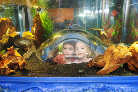 Scitech - Tourism Caloundra 3