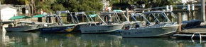 Brooklyn Central Boat Hire & General Store - Tourism Caloundra 1