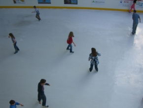 Liverpool Catholic Club Rink - Tourism Caloundra 3