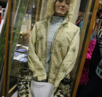 Alpine Museum - Tourism Caloundra