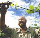 Barossa Experience Tours - Tourism Caloundra