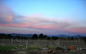 Buller View Wines - Tourism Caloundra 1