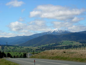 Buller View Wines - Tourism Caloundra 2