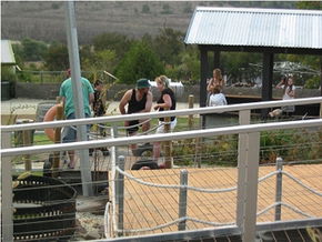 Magill SA Tourism Caloundra