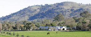 Blue Gum Farm - Tourism Caloundra 1