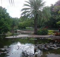 Brisbane City Botanic Gardens - Tourism Caloundra