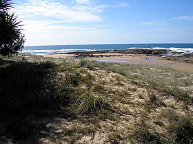 Mount Tom QLD Tourism Caloundra