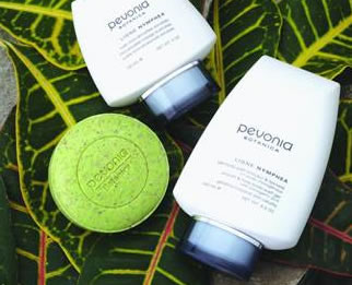AQueous Spa - Tourism Caloundra 1