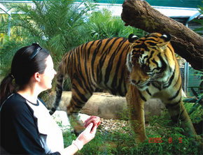 Crocodylus Park - Tourism Caloundra 1