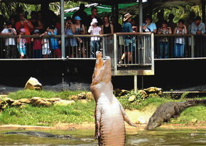 Crocodylus Park - Tourism Caloundra 2