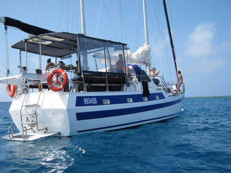 Coral Sea Dreaming Dive And Sail - Tourism Caloundra 3