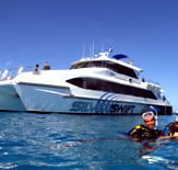 Silver Swift - Tourism Caloundra