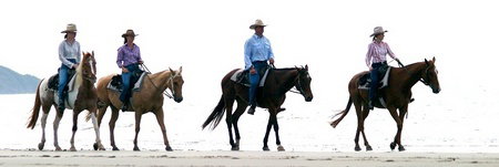 Wonga QLD Tourism Caloundra
